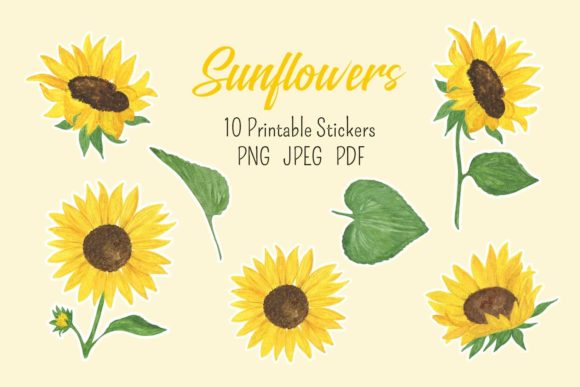 Download Sunflower Stickers - Sticker Collection